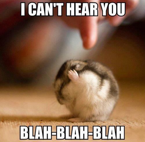 I Can't Hear You