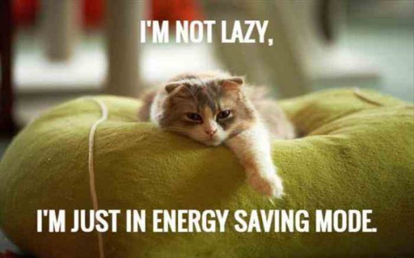 I'm NOT Lazy You Know